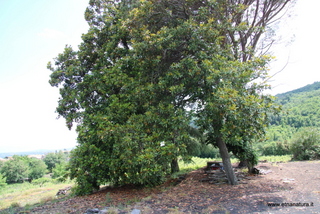 iorato san Giacomo-16-06-2023 13-45-23
